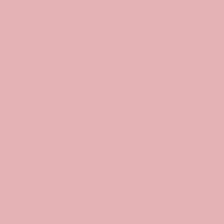 Benjamin Moore Engagement (1277)