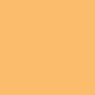 Benjamin Moore Honeybell (145)