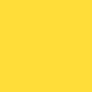 Benjamin Moore Bold Yellow (336)