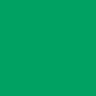 Benjamin Moore Kelly Green (2037-30)