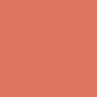Benjamin Moore Tucker Orange (CW-300)