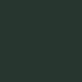 Benjamin Moore Chrome Green (PM-10)