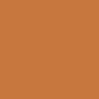 Benjamin Moore Bronze Tone (2166-30)