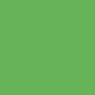 Benjamin Moore Paradise Valley (559)