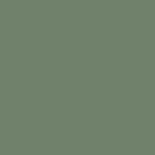 Benjamin Moore Pinelands (446)