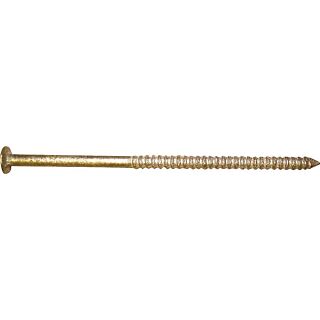 MAZE STORMGUARD 2-1/2 in.Hand Driven Siding Nail 