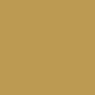 Benjamin Moore Palace Ochre (CW-425)