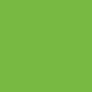 Benjamin Moore Apple Lime Cocktail (420)