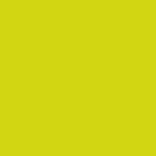 Benjamin Moore New Lime (2025-30)