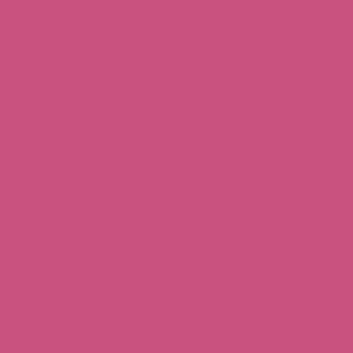 Benjamin Moore Razzle Dazzle (1348)