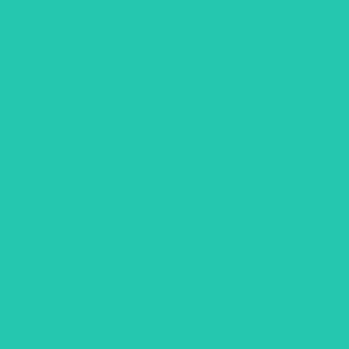 Benjamin Moore Amelia Island Blue (2044-40)