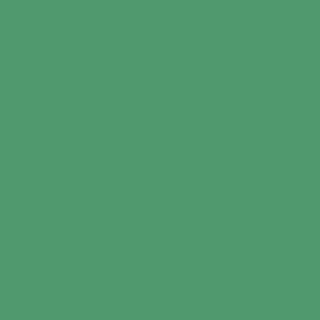 Benjamin Moore Dunmore Green (CW-540)
