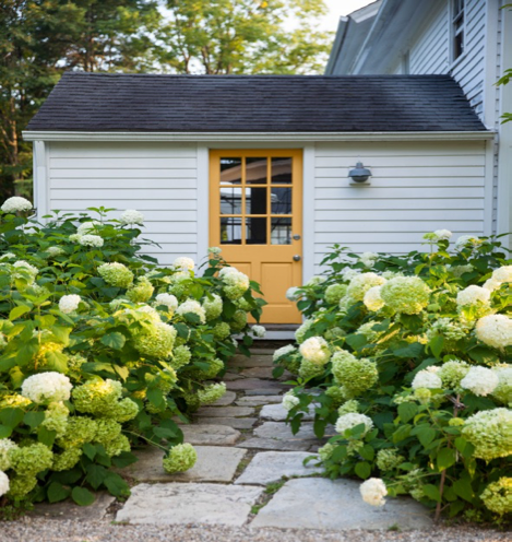 Front door painted yellow in Benjamin Moore Marigold 